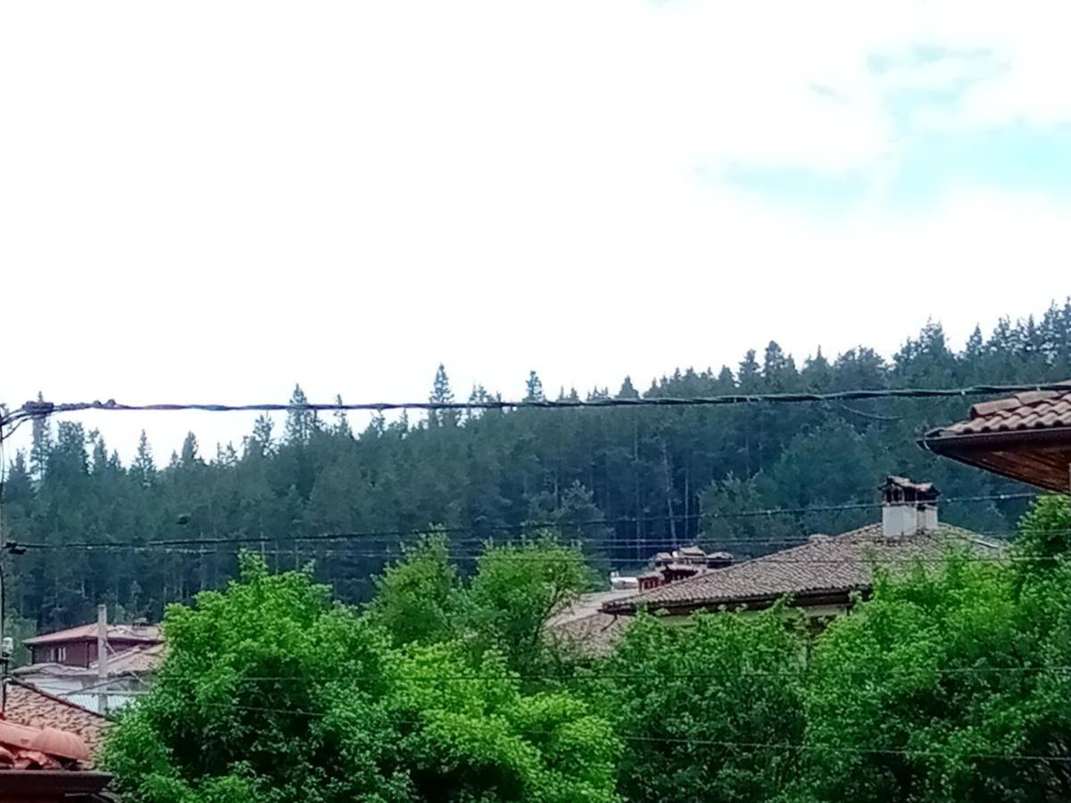 Стаи За Гости Милена Koprivstica Kültér fotó